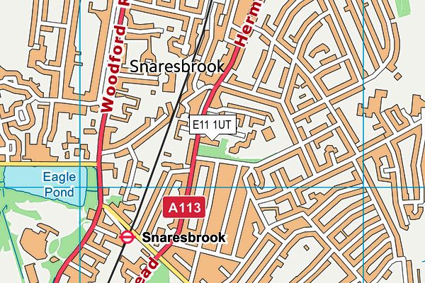 E11 1UT map - OS VectorMap District (Ordnance Survey)