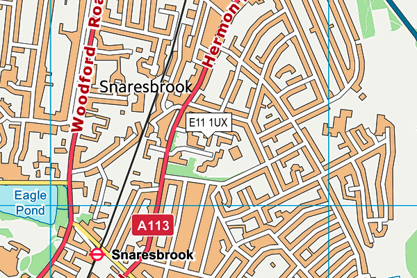 E11 1UX map - OS VectorMap District (Ordnance Survey)