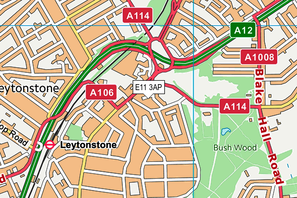 E11 3AP map - OS VectorMap District (Ordnance Survey)