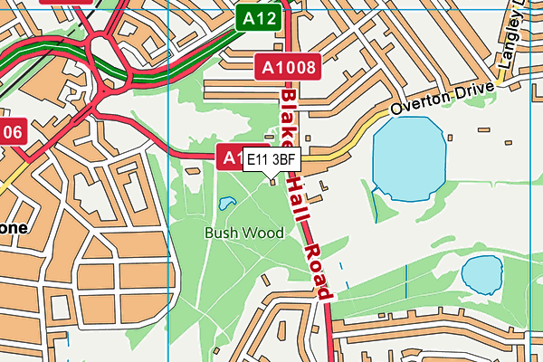 E11 3BF map - OS VectorMap District (Ordnance Survey)