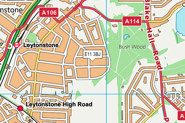 E11 3BJ map - OS VectorMap District (Ordnance Survey)