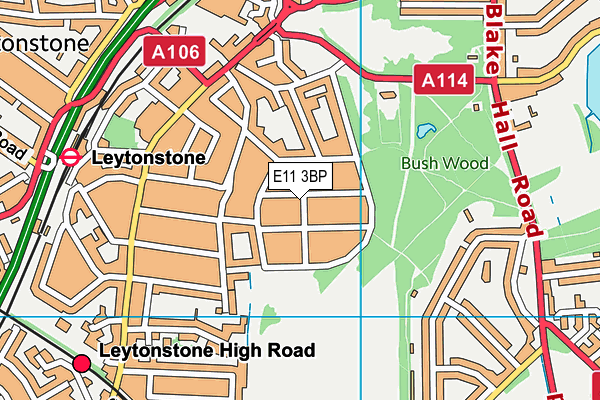 E11 3BP map - OS VectorMap District (Ordnance Survey)