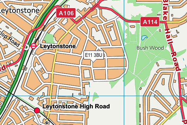 E11 3BU map - OS VectorMap District (Ordnance Survey)