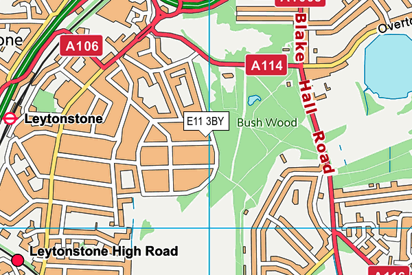 E11 3BY map - OS VectorMap District (Ordnance Survey)