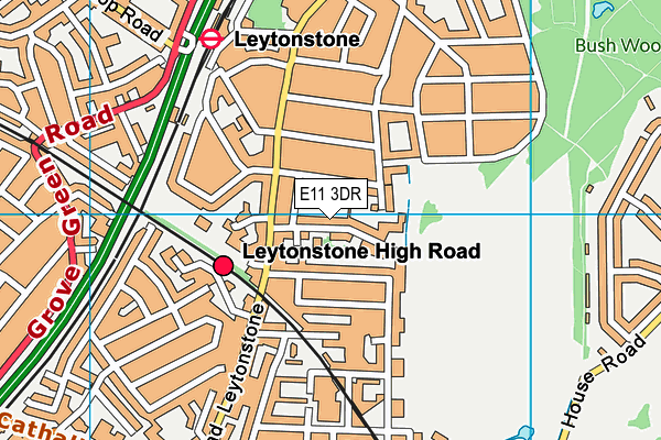 Davies Lane Primary School map (E11 3DR) - OS VectorMap District (Ordnance Survey)