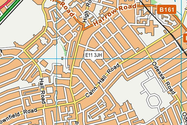 The Jenny Hammond Primary School map (E11 3JH) - OS VectorMap District (Ordnance Survey)