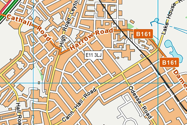 E11 3LJ map - OS VectorMap District (Ordnance Survey)