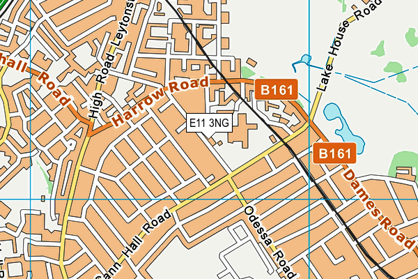 E11 3NG map - OS VectorMap District (Ordnance Survey)