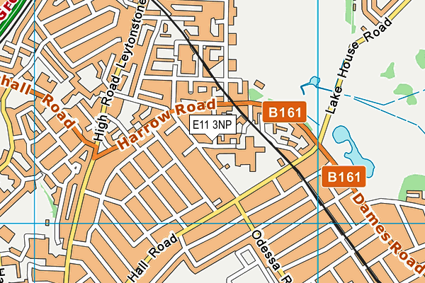 E11 3NP map - OS VectorMap District (Ordnance Survey)