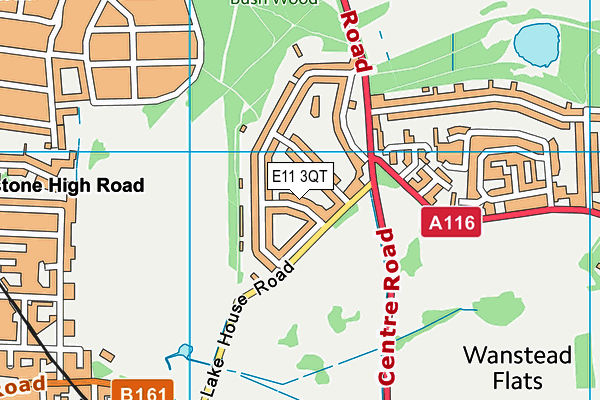 E11 3QT map - OS VectorMap District (Ordnance Survey)