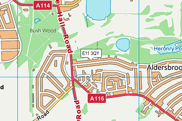 E11 3QY map - OS VectorMap District (Ordnance Survey)