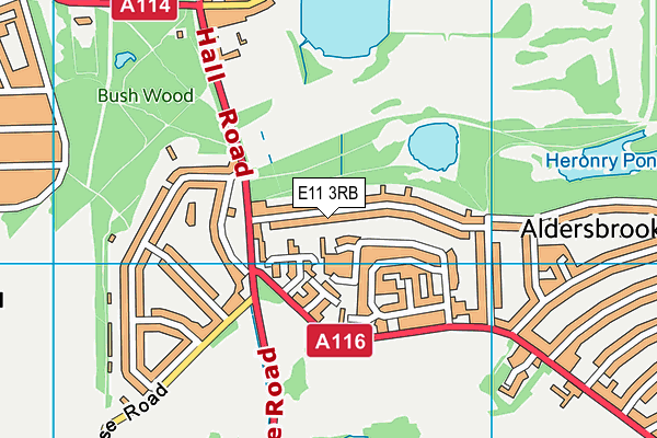 E11 3RB map - OS VectorMap District (Ordnance Survey)