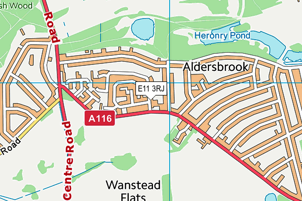 E11 3RJ map - OS VectorMap District (Ordnance Survey)