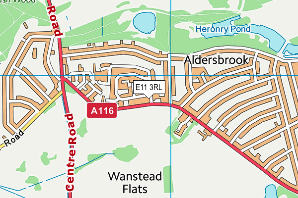 E11 3RL map - OS VectorMap District (Ordnance Survey)