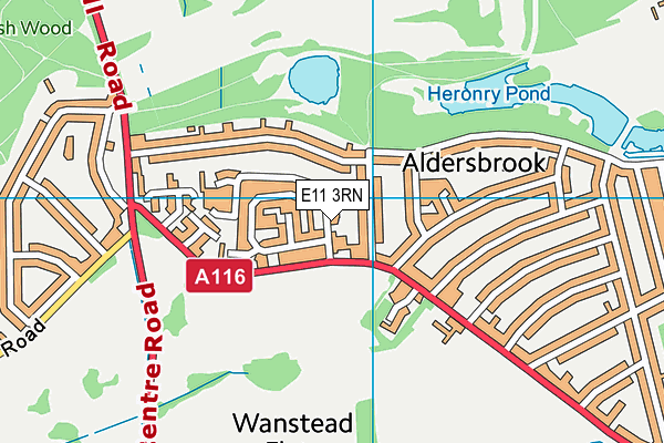 E11 3RN map - OS VectorMap District (Ordnance Survey)