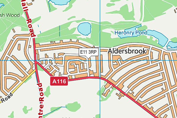 E11 3RP map - OS VectorMap District (Ordnance Survey)