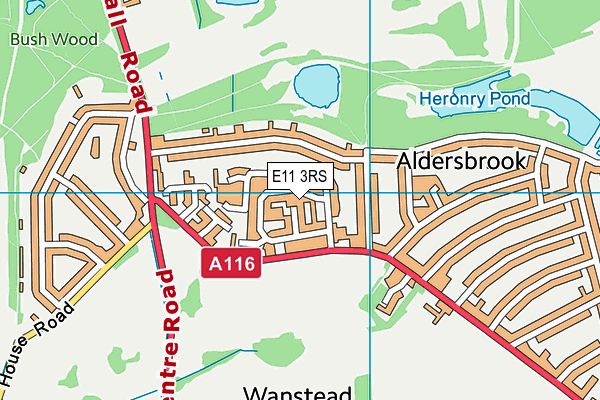 E11 3RS map - OS VectorMap District (Ordnance Survey)