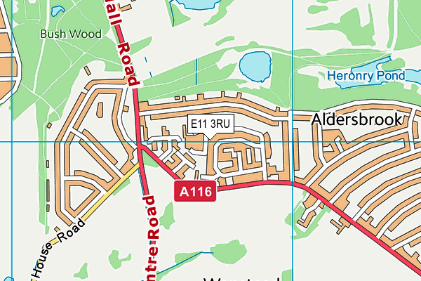 E11 3RU map - OS VectorMap District (Ordnance Survey)