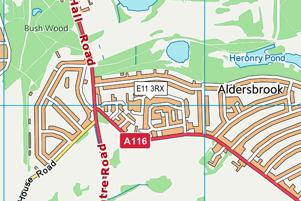 E11 3RX map - OS VectorMap District (Ordnance Survey)