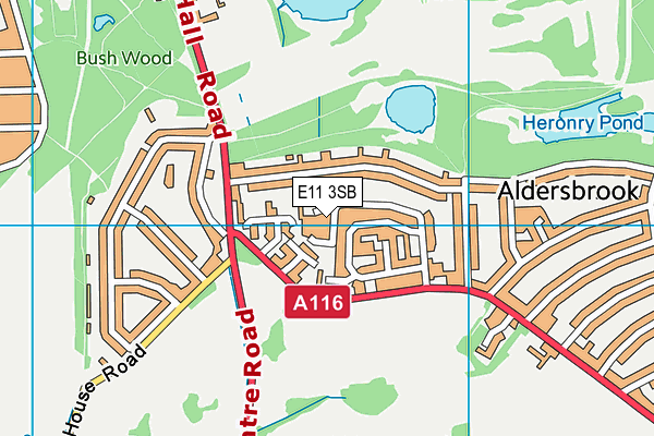 E11 3SB map - OS VectorMap District (Ordnance Survey)