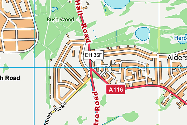 E11 3SF map - OS VectorMap District (Ordnance Survey)