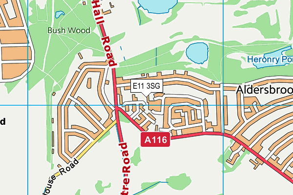 E11 3SG map - OS VectorMap District (Ordnance Survey)