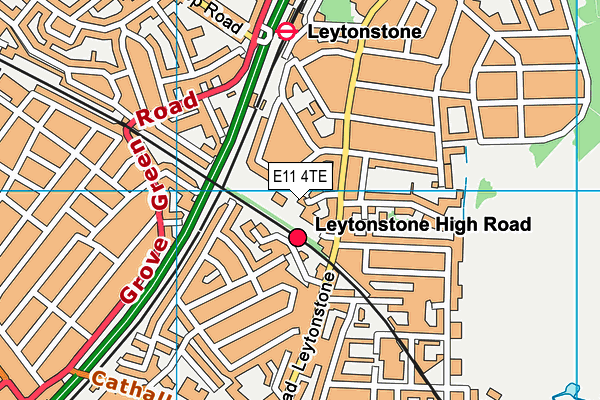 E11 4TE map - OS VectorMap District (Ordnance Survey)