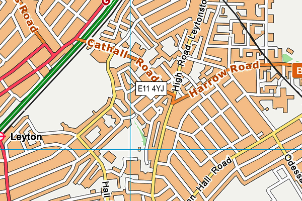 E11 4YJ map - OS VectorMap District (Ordnance Survey)