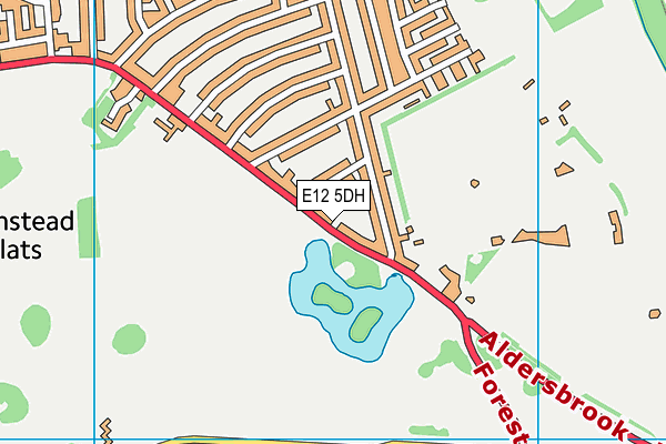 E12 5DH map - OS VectorMap District (Ordnance Survey)