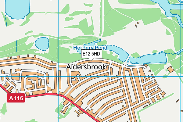 E12 5HD map - OS VectorMap District (Ordnance Survey)