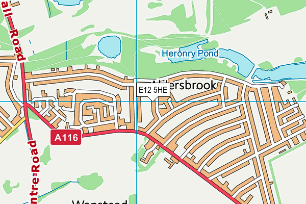 E12 5HE map - OS VectorMap District (Ordnance Survey)