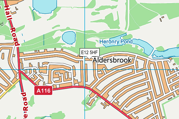 E12 5HF map - OS VectorMap District (Ordnance Survey)