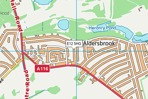 E12 5HG map - OS VectorMap District (Ordnance Survey)