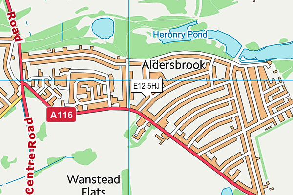 E12 5HJ map - OS VectorMap District (Ordnance Survey)