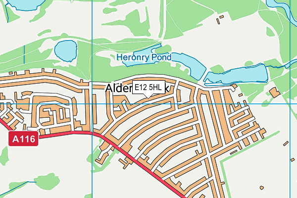 Aldersbrook Primary School map (E12 5HL) - OS VectorMap District (Ordnance Survey)