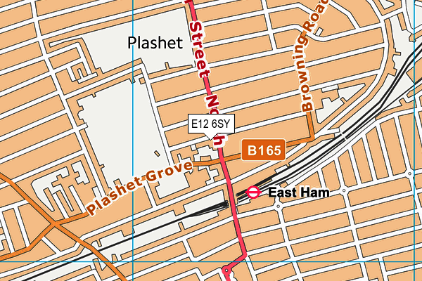 E12 6SY map - OS VectorMap District (Ordnance Survey)