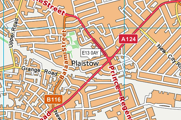 E13 0AY map - OS VectorMap District (Ordnance Survey)