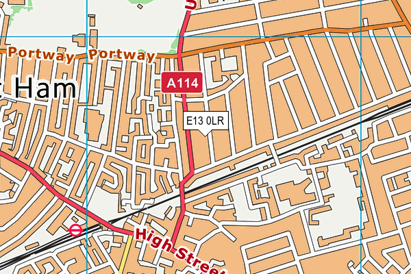 E13 0LR map - OS VectorMap District (Ordnance Survey)