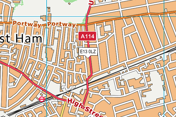 E13 0LZ map - OS VectorMap District (Ordnance Survey)