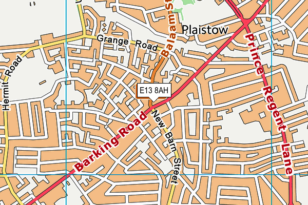 E13 8AH map - OS VectorMap District (Ordnance Survey)