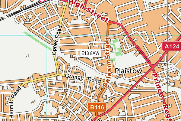 E13 8AW map - OS VectorMap District (Ordnance Survey)