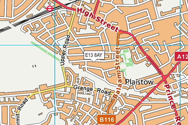 E13 8AY map - OS VectorMap District (Ordnance Survey)