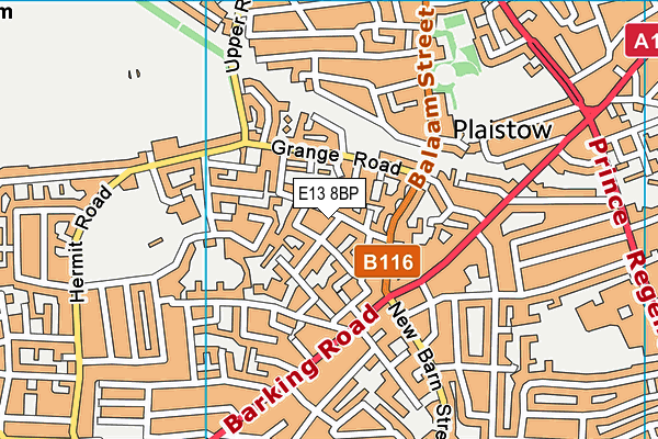 E13 8BP map - OS VectorMap District (Ordnance Survey)