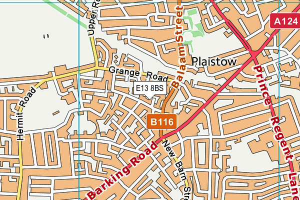 E13 8BS map - OS VectorMap District (Ordnance Survey)