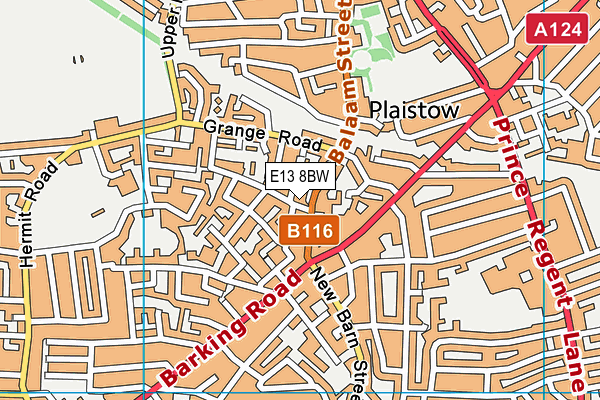 E13 8BW map - OS VectorMap District (Ordnance Survey)