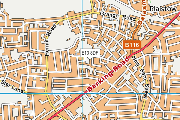 E13 8DF map - OS VectorMap District (Ordnance Survey)