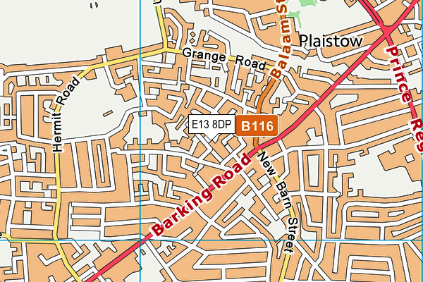 E13 8DP map - OS VectorMap District (Ordnance Survey)