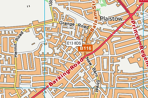 E13 8DS map - OS VectorMap District (Ordnance Survey)