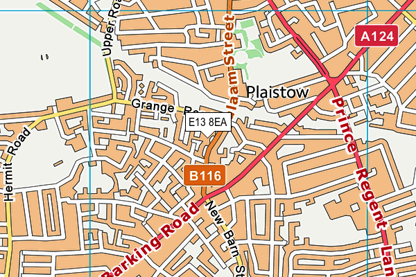 E13 8EA map - OS VectorMap District (Ordnance Survey)