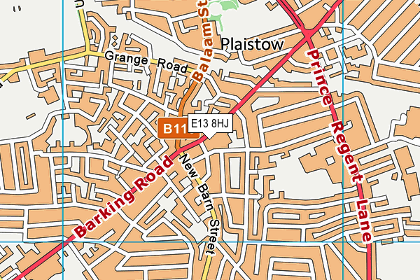 E13 8HJ map - OS VectorMap District (Ordnance Survey)